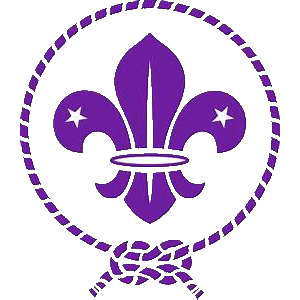 World Scout Organization